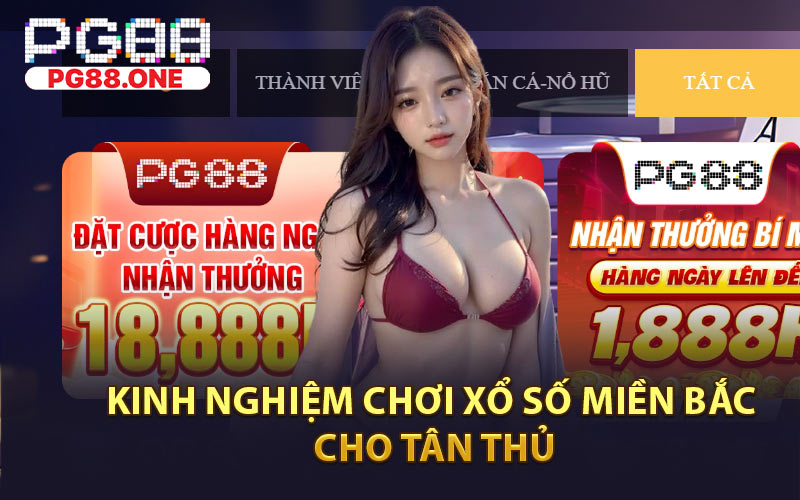 Kinh Nghiệm Chơi Xổ Số Miền Bắc Cho Tân Thủ