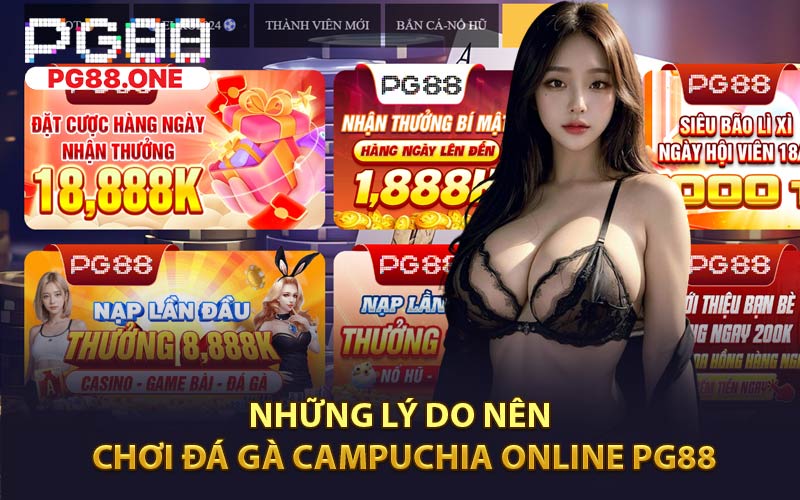 Những lý do nên chơi đá gà campuchia online PG88