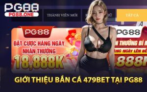 Bắn Cá 479bet