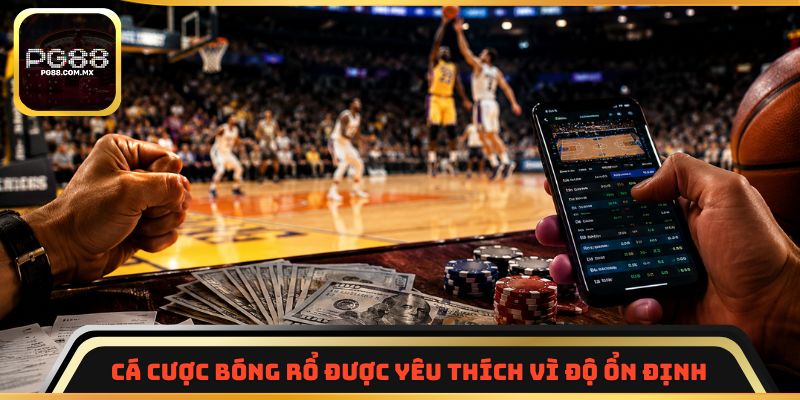 Cá cược bóng rổ được yêu thích vì độ ổn định