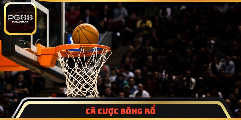Cá cược bóng rổ