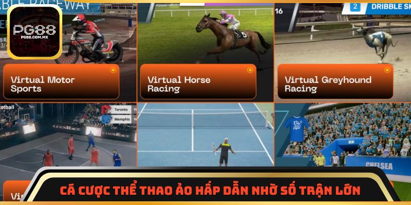 Cá cược thể thao ảo hấp dẫn nhờ số trận lớn