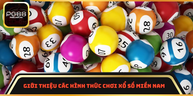 Giới thiệu các hình thức chơi xổ số miền Nam