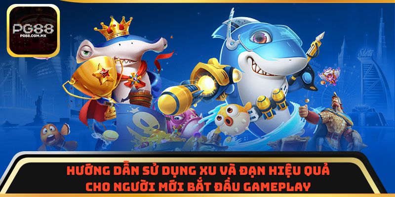 Hướng dẫn sử dụng xu và đạn hiệu quả cho người mới bắt đầu gameplay